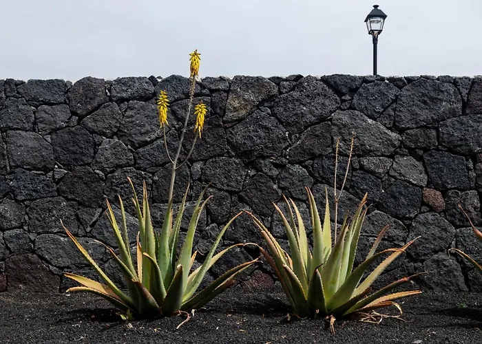 Lanzarote Natura Houses Holiday home Soo