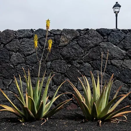Lanzarote Natura Casa de Férias Soo